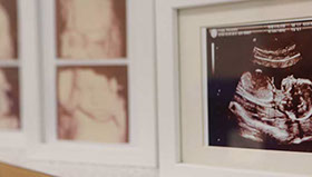 Dr. med. Thomas Krapp - Facharzt für Frauenheilkunde und Geburtshilfe