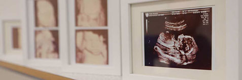 Dr. med. Thomas Krapp - Facharzt für Frauenheilkunde und Geburtshilfe