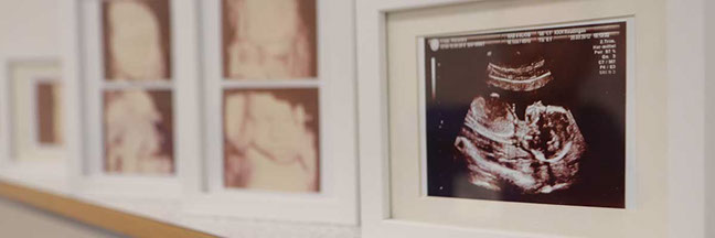 Dr. med. Thomas Krapp - Facharzt für Frauenheilkunde und Geburtshilfe